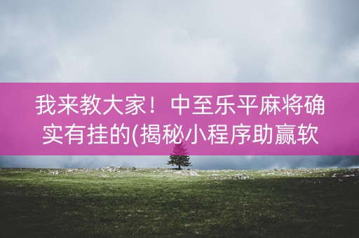 我来教大家！中至乐平麻将确实有挂的(揭秘小程序助赢软件)