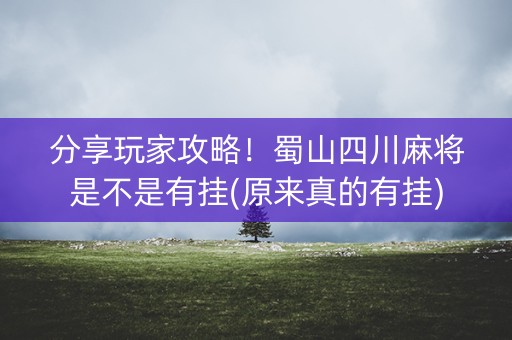 分享玩家攻略！蜀山四川麻将是不是有挂(原来真的有挂)