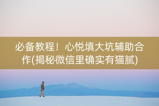 必备教程！心悦填大坑辅助合作(揭秘微信里确实有猫腻)