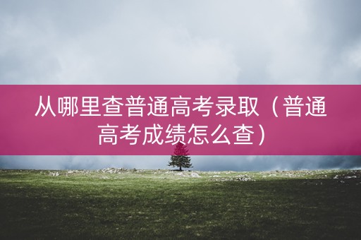 从哪里查普通高考录取（普通高考成绩怎么查）