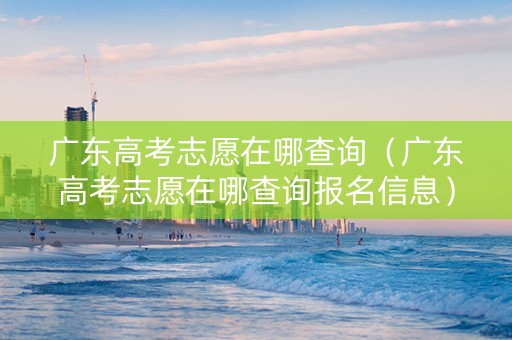 广东高考志愿在哪查询（广东高考志愿在哪查询报名信息）