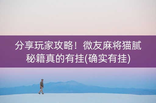 分享玩家攻略！微友麻将猫腻秘籍真的有挂(确实有挂)