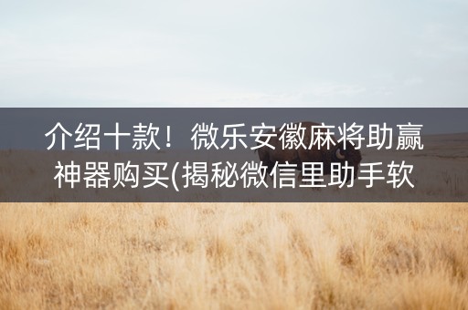 介绍十款！微乐安徽麻将助赢神器购买(揭秘微信里助手软件)