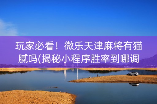 玩家必看！微乐天津麻将有猫腻吗(揭秘小程序胜率到哪调)