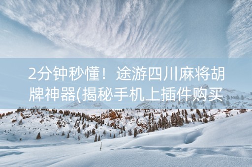 2分钟秒懂！途游四川麻将胡牌神器(揭秘手机上插件购买)