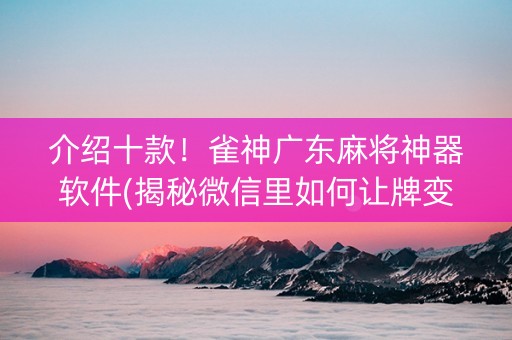 介绍十款！雀神广东麻将神器软件(揭秘微信里如何让牌变好)