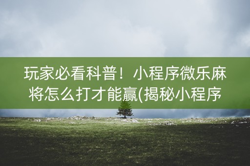 玩家必看科普！小程序微乐麻将怎么打才能赢(揭秘小程序输赢技巧)