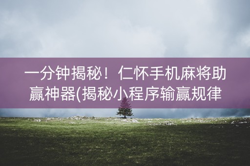 一分钟揭秘！仁怀手机麻将助赢神器(揭秘小程序输赢规律)