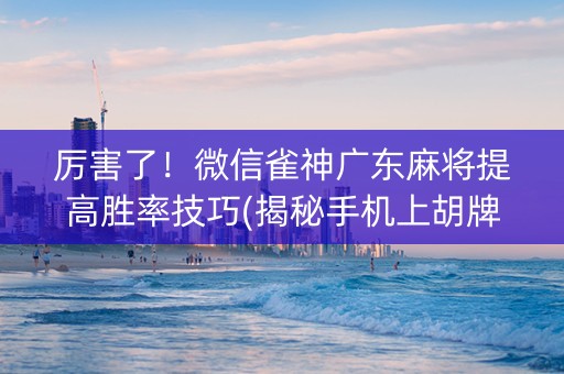 厉害了！微信雀神广东麻将提高胜率技巧(揭秘手机上胡牌神器)