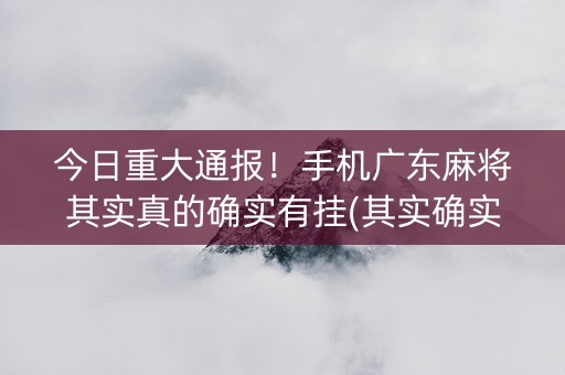 今日重大通报！手机广东麻将其实真的确实有挂(其实确实有挂)