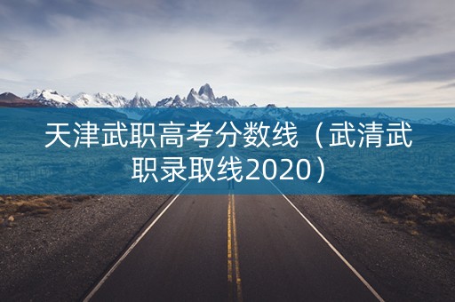 天津武职高考分数线（武清武职录取线2020）