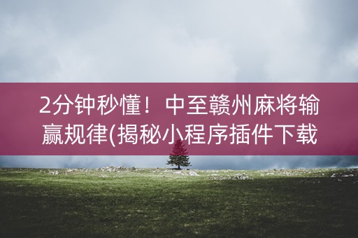 2分钟秒懂！中至赣州麻将输赢规律(揭秘小程序插件下载)
