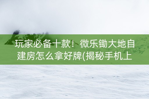 玩家必备十款！微乐锄大地自建房怎么拿好牌(揭秘手机上确实有猫腻)