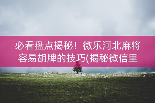 必看盘点揭秘！微乐河北麻将容易胡牌的技巧(揭秘微信里胜率到哪调)