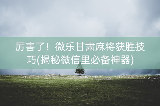 厉害了！微乐甘肃麻将获胜技巧(揭秘微信里必备神器)
