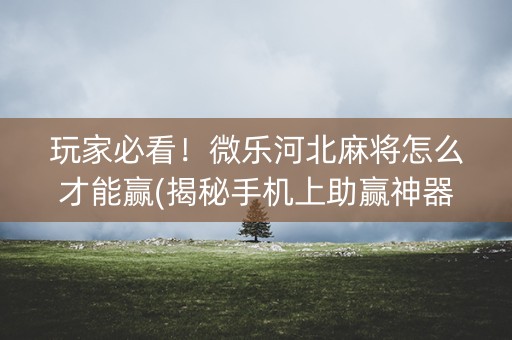 玩家必看！微乐河北麻将怎么才能赢(揭秘手机上助赢神器)