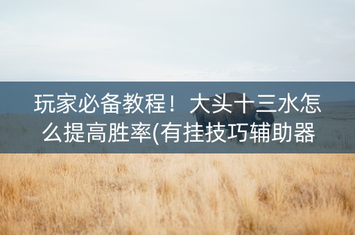 玩家必备教程！大头十三水怎么提高胜率(有挂技巧辅助器)