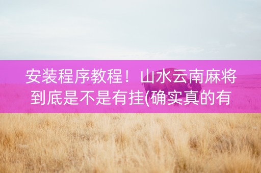 安装程序教程！山水云南麻将到底是不是有挂(确实真的有挂)