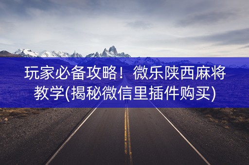 玩家必备攻略！微乐陕西麻将教学(揭秘微信里插件购买)