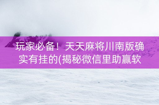 玩家必备！天天麻将川南版确实有挂的(揭秘微信里助赢软件)
