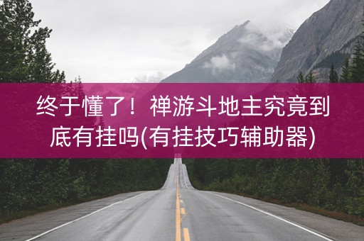 终于懂了！禅游斗地主究竟到底有挂吗(有挂技巧辅助器)