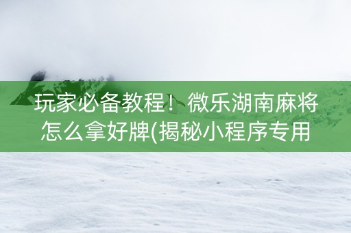 玩家必备教程！微乐湖南麻将怎么拿好牌(揭秘小程序专用神器下载)