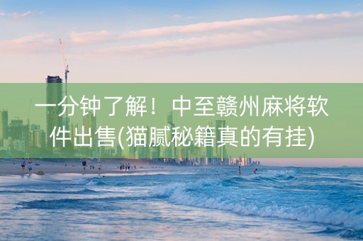 一分钟了解！中至赣州麻将软件出售(猫腻秘籍真的有挂)
