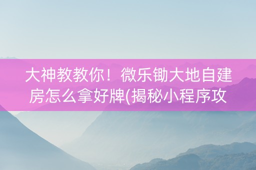 大神教教你！微乐锄大地自建房怎么拿好牌(揭秘小程序攻略插件)