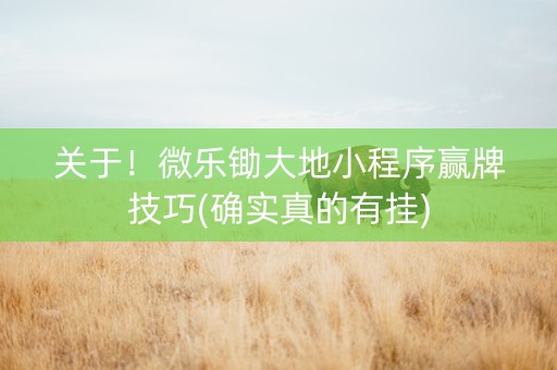 关于！微乐锄大地小程序赢牌技巧(确实真的有挂)