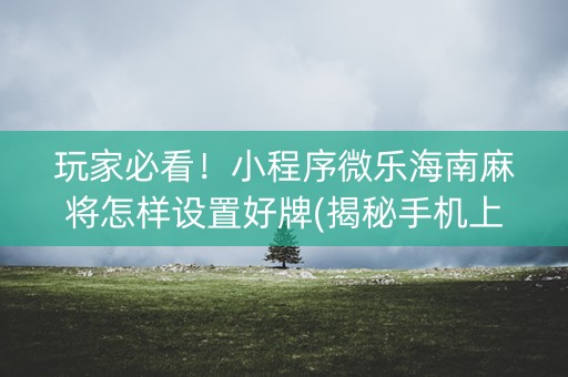玩家必看！小程序微乐海南麻将怎样设置好牌(揭秘手机上插件购买)