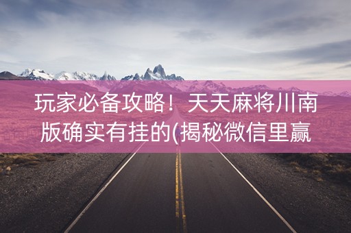 玩家必备攻略！天天麻将川南版确实有挂的(揭秘微信里赢的诀窍)