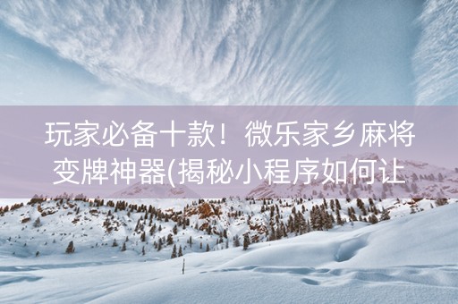 玩家必备十款！微乐家乡麻将变牌神器(揭秘小程序如何让牌变好)