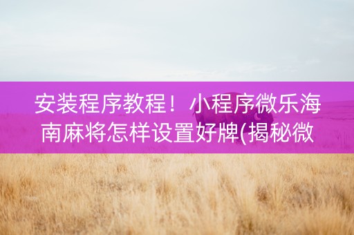 安装程序教程！小程序微乐海南麻将怎样设置好牌(揭秘微信里最新神器下载)