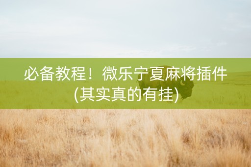 必备教程！微乐宁夏麻将插件(其实真的有挂)