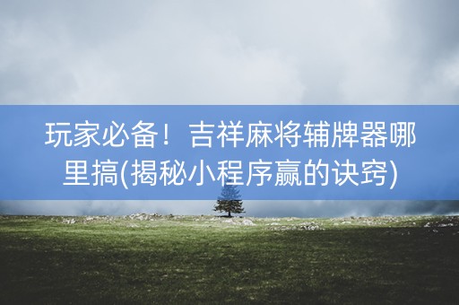 玩家必备！吉祥麻将辅牌器哪里搞(揭秘小程序赢的诀窍)
