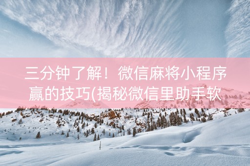 三分钟了解！微信麻将小程序赢的技巧(揭秘微信里助手软件)