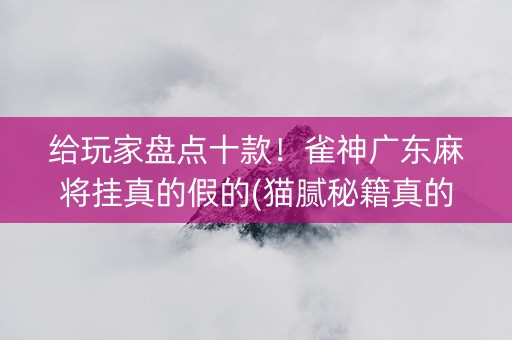给玩家盘点十款！雀神广东麻将挂真的假的(猫腻秘籍真的有挂)