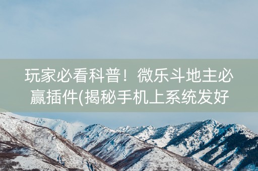 玩家必看科普！微乐斗地主必赢插件(揭秘手机上系统发好牌)