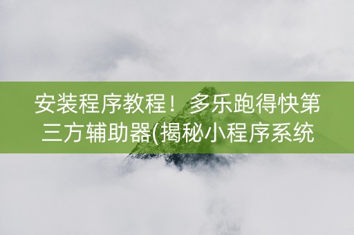 安装程序教程！多乐跑得快第三方辅助器(揭秘小程序系统发好牌)