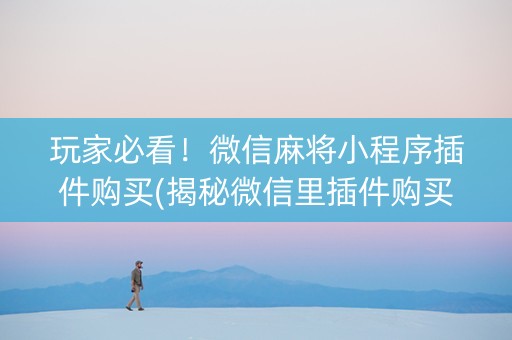 玩家必看！微信麻将小程序插件购买(揭秘微信里插件购买)