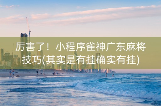 厉害了！小程序雀神广东麻将技巧(其实是有挂确实有挂)