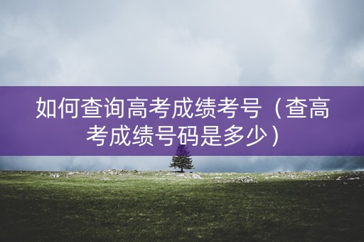 如何查询高考成绩考号（查高考成绩号码是多少）