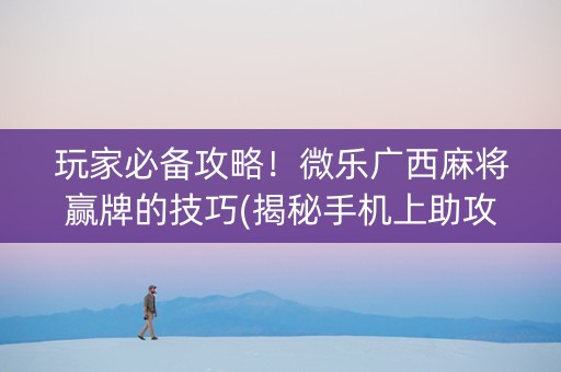 玩家必备攻略！微乐广西麻将赢牌的技巧(揭秘手机上助攻神器)