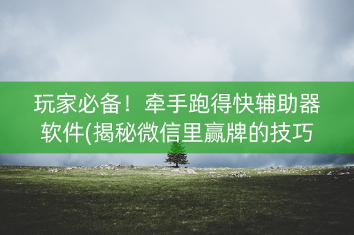 玩家必备！牵手跑得快辅助器软件(揭秘微信里赢牌的技巧)