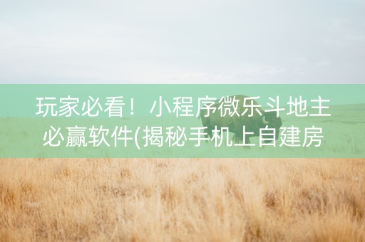 玩家必看！小程序微乐斗地主必赢软件(揭秘手机上自建房怎么赢)