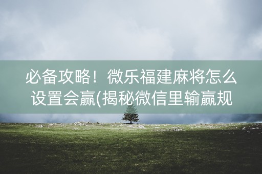 必备攻略！微乐福建麻将怎么设置会赢(揭秘微信里输赢规律)