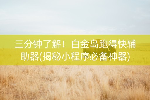 三分钟了解！白金岛跑得快辅助器(揭秘小程序必备神器)