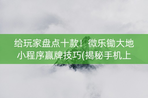 给玩家盘点十款！微乐锄大地小程序赢牌技巧(揭秘手机上辅牌器)