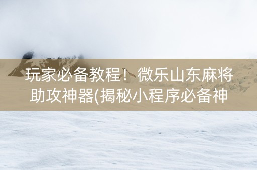玩家必备教程！微乐山东麻将助攻神器(揭秘小程序必备神器)