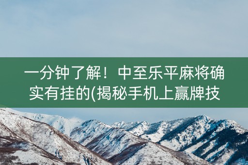 一分钟了解！中至乐平麻将确实有挂的(揭秘手机上赢牌技巧)